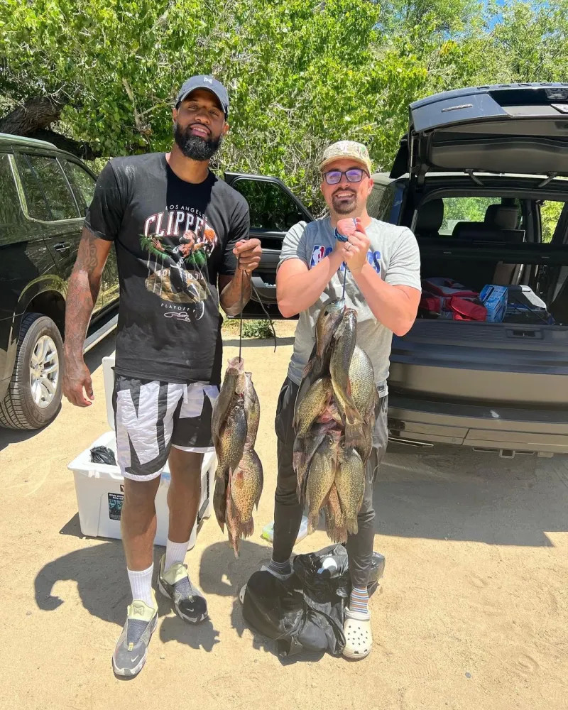 作要求他们 作要求他们