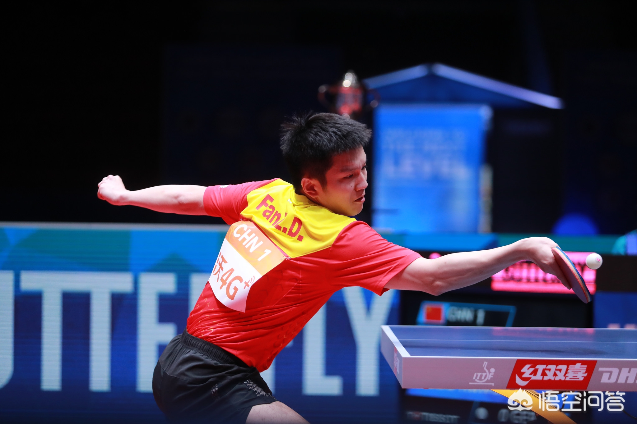 伤情报告与 伤情报告与